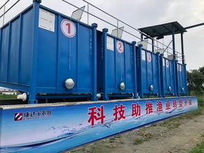 康達爾集裝箱巴沙魚標苗數據新鮮出爐 成活率100 ,單產每立方233斤,階段料比僅0.79